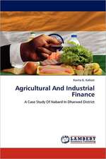 Agricultural And Industrial Finance