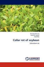 Collar rot of soybean