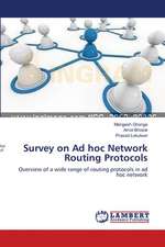 Survey on Ad hoc Network Routing Protocols