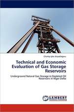 Technical and Economic Evaluation of Gas Storage Reservoirs