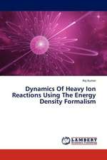 Dynamics Of Heavy Ion Reactions Using The Energy Density Formalism