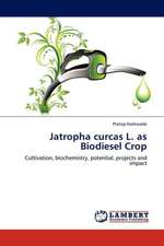 Jatropha curcas L. as Biodiesel Crop