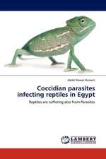 Coccidian parasites infecting reptiles in Egypt