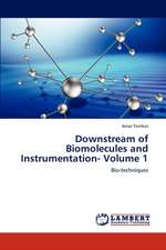 Downstream of Biomolecules and Instrumentation- Volume 1