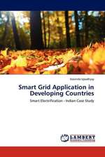 Smart Grid Application in Developing Countries