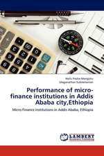 Performance of micro-finance institutions in Addis Ababa city,Ethiopia