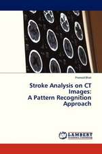 Stroke Analysis on CT Images: A Pattern Recognition Approach