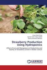 Strawberry Production Using Hydroponics