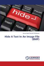 Hide a Text in an Image File (BMP)