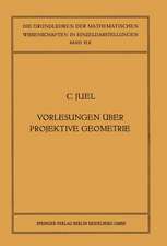 Vorlesungen über Projektive Geometrie: Mit besonderer Berücksichtigung der v. Staudtschen Imaginärtheorie