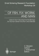 Of Fish, Fly, Worm, and Man: Lessons from Developmental Biology for Human Gene Function and Disease