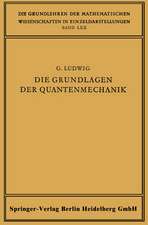 Die Grundlagen der Quantenmechanik