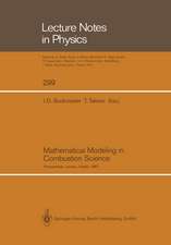 Mathematical Modeling in Combustion Science: Proceedings of a Conference Held in Juneau, Alaska, August 17–21, 1987