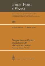 Perspectives on Photon Interactions with Hadrons and Nuclei: Proceedings of a Workshop Held at Göttingen, FRG on 20 and 21 February 1990