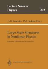 Large Scale Structures in Nonlinear Physics: Proceedings of a Workshop Held in Villefranche-sur-Mer, France, 13–18 January 1991