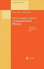 Third Granada Lectures in Computational Physics: Proceedings of the III Granada Seminar on Computational Physics, Held at Granada , Spain, 5–10 September 1994