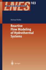 Reactive Flow Modeling of Hydrothermal Systems