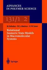 Rotational Isomeric State Models in Macromolecular Systems