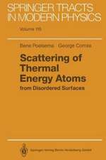 Scattering of Thermal Energy Atoms: from Disordered Surfaces