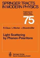 Light Scattering by Phonon-Polaritons