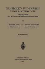 Nährböden und Farben in der Bakteriologie: Ein Grundriss der Klinisch-Bakteriologischen Technik