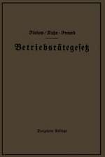 Betriebsrätegesetz vom 4. Februar 1920 nebst Wahlordnung, Ausführungsverordnungen und Ergänzungsgesetzen (Betriebsbilanzgesetz, Aufsichtsratsgesetz und Wahlordnung): unter Berücksichtigung des Gesetzes vom 28. Febr. 1928