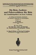 Die Beiz-, Lackier- und Polierverfahren für Holz ihre Gesundheitsgefahren und deren Verhütung: Im Auftrag des Technischen Ausschusses der Deutschen Gesellschaft für Gewerbehygiene