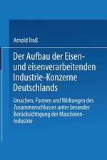 Der Aufbau der Eisen- und eisenverarbeitenden Industrie-Konzerne Deutschlands: Ursachen, Formen und Wirkungen des Zusammenschlusses unter besonderer Berücksichtigung der Maschinen-Industrie