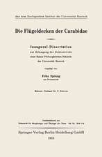 Die Flügeldecken der Carabidae: Inaugural-Dissertation zur Erlangung der Doktorwürde einer Hohen Philosophischen Fakultät der Universität Rostock