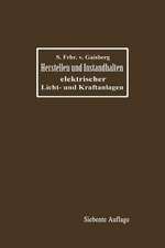 Herstellen und Instandhalten elektrischer Licht- und Kraftanlagen: Ein Leitfaden auch für Nicht-Techniker