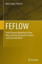 FEFLOW