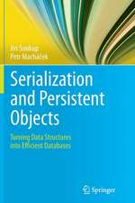 Serialization and Persistent Objects: Turning Data Structures into Efficient Databases