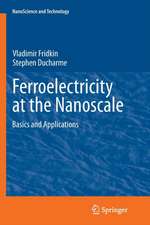 Ferroelectricity at the Nanoscale: Basics and Applications