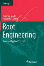 Root Engineering: Basic and Applied Concepts