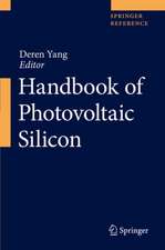 Handbook of Photovoltaic Silicon