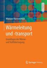 Wärmeleitung und -transport: Grundlagen der Wärme- und Stoffübertragung