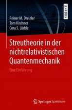 Streutheorie in der nichtrelativistischen Quantenmechanik