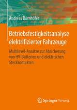 Betriebsfestigkeitsanalyse elektrifizierter Fahrzeuge: Multilevel-Ansätze zur Absicherung von HV-Batterien und elektrischen Steckkontakten