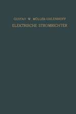 Elektrische Stromrichter (Gleichrichter): Theorie, Herstellung und Anwendung