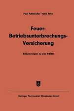 Feuer-Betriebsunterbrechungs-Versicherung: Erläuterungen zu den Allgemeinen Feuer-Betriebsunterbrechungs-Versicherungsbedingungen (FBUB)