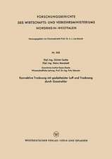 Konvektive Trocknung mit gasbeheizter Luft und Trocknung durch Gasstrahler