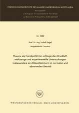 Theorie der handgeführten schlagenden Druckluftwerkzeuge und experimentelle Untersuchungen insbesondere an Abbauhämmern im normalen und abnormalen Betrieb