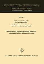 Mathematische Charakterisierung und Bewertung elektromagnetischer Senderanordnungen