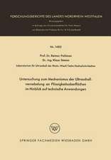 Untersuchung zum Mechanismus der Ultraschallvernebelung an Flüssigkeitsoberflächen im Hinblick auf technische Anwendungen