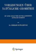 Vorlesungen über Natürliche Geometrie: Mit Einem Anhang über die Verallgemeinerte Natürliche Geometrie