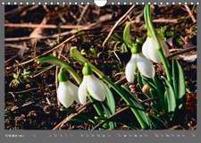 Blumen für Dich (Wandkalender 2016 DIN A4 quer)