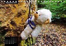 Outdoor Teddies (Tischkalender 2016 DIN A5 quer)