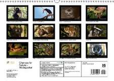 Chances for Nature - Madagaskar (Wandkalender 2016 DIN A3 quer)