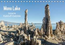 Mono Lake - bizarre Kalktuff-Gebilde (Tischkalender 2016 DIN A5 quer)