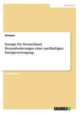 Energie für Deutschland. Herausforderungen einer nachhaltigen Energieversorgung